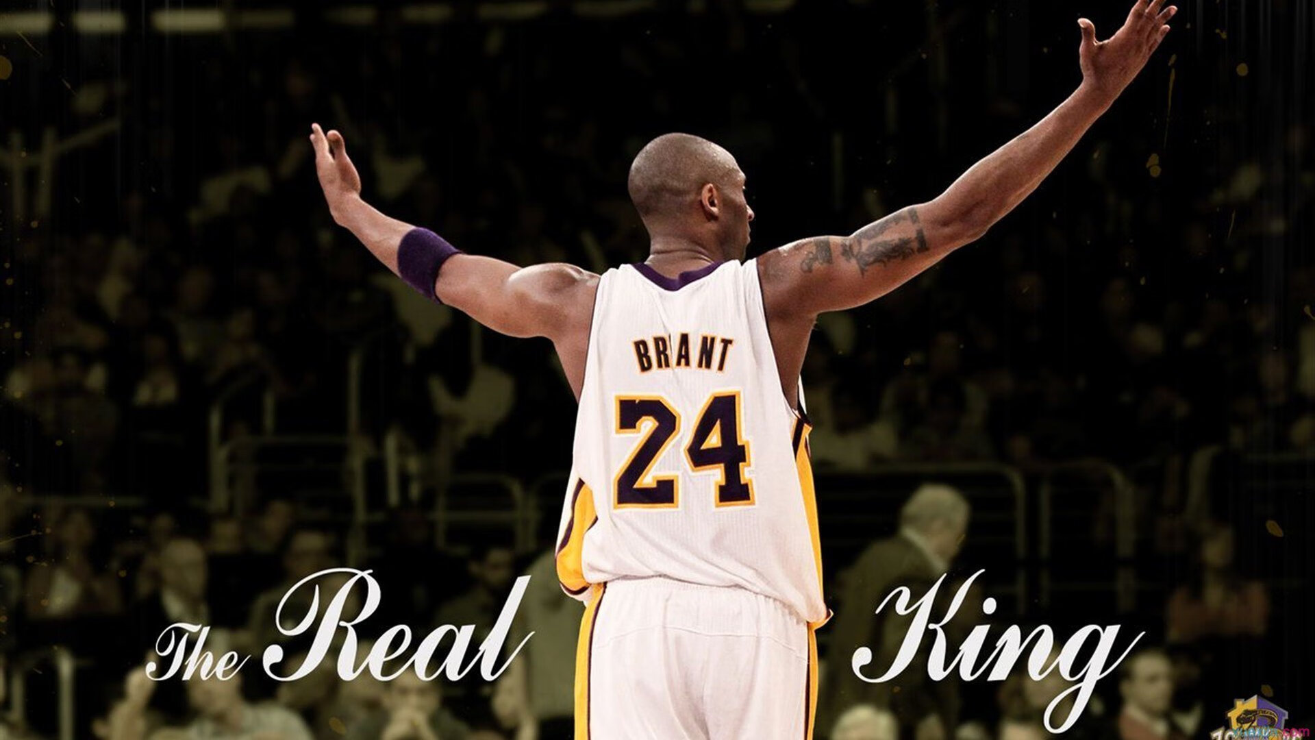 专访孙杨 从低谷中重新出发,专访孙杨 从低谷中重新出发的节目